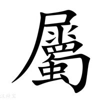 屬意思|屬的意思，屬字的意思